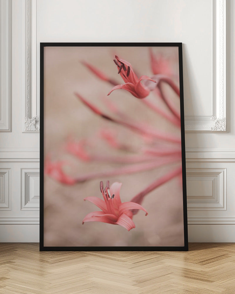 Fire Lilly No2 Poster