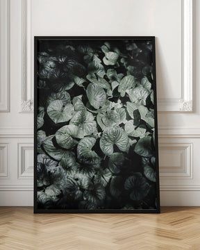 Forest Floor Poster