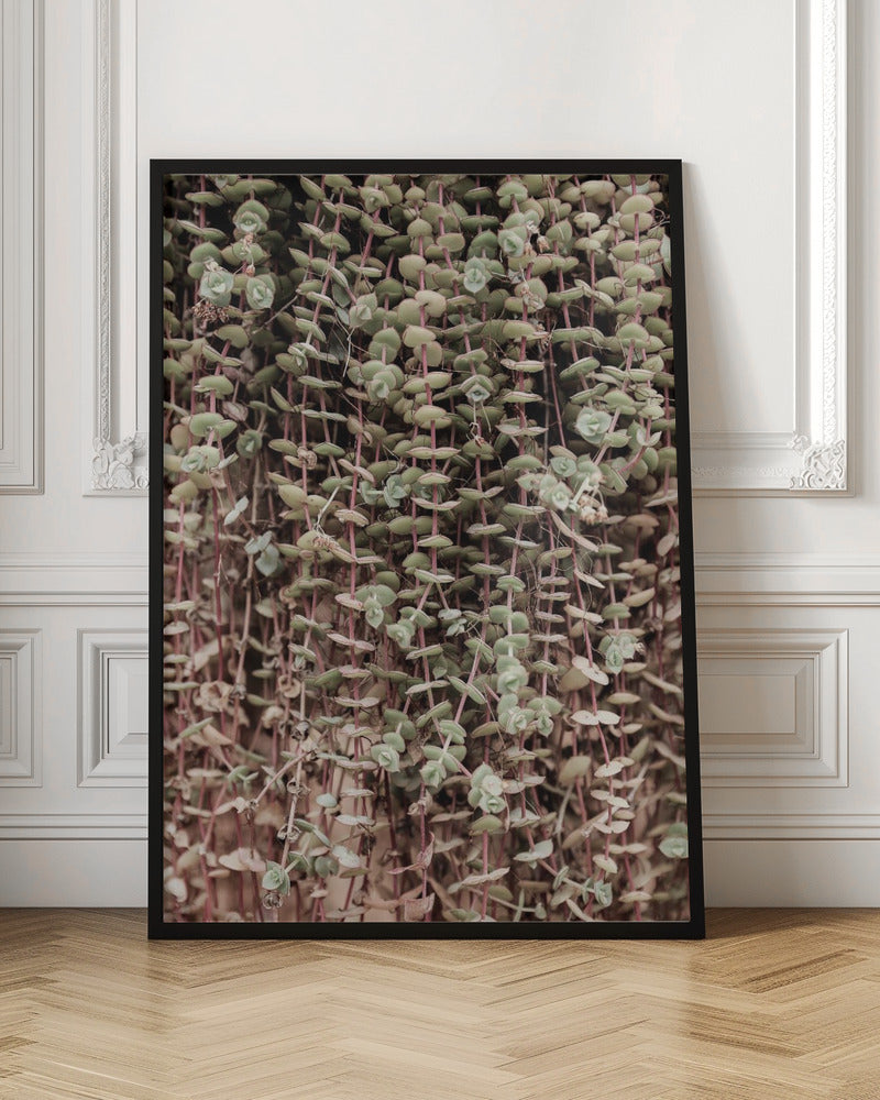 Hanging Garden Poster