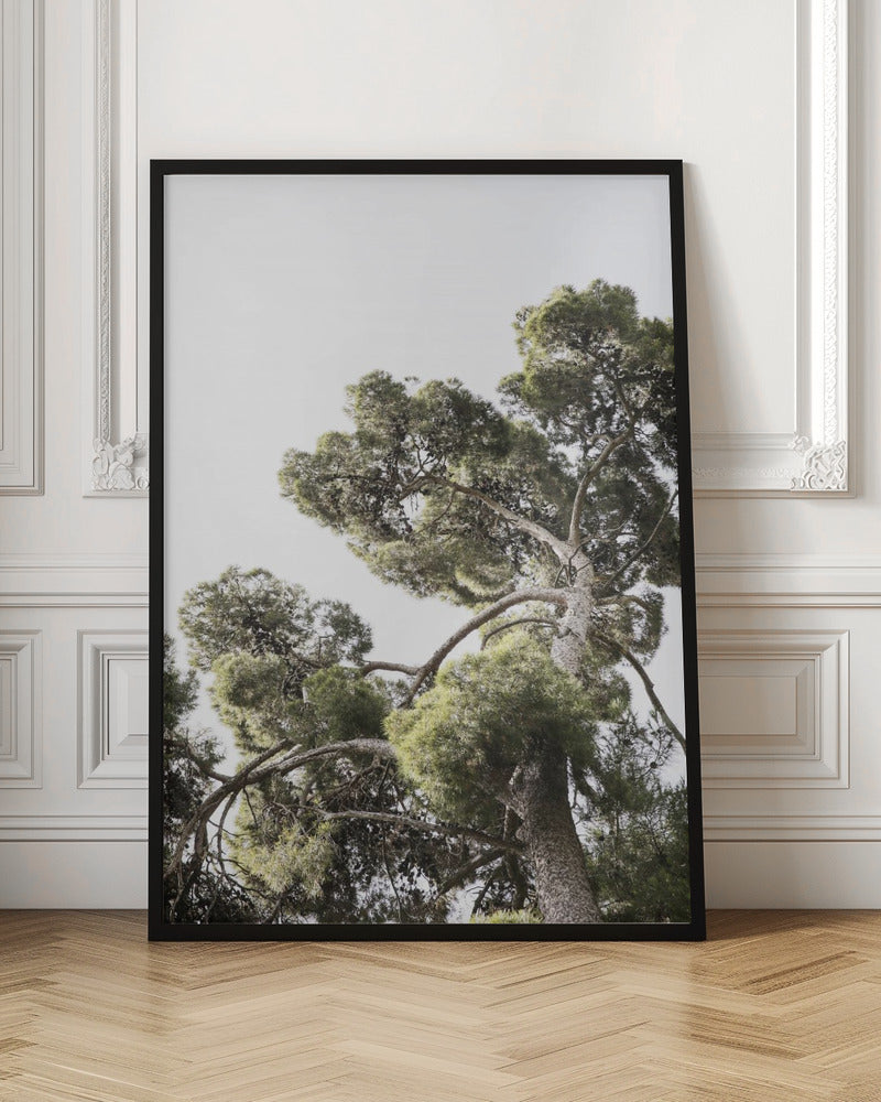 Japanese Garden 01 Poster