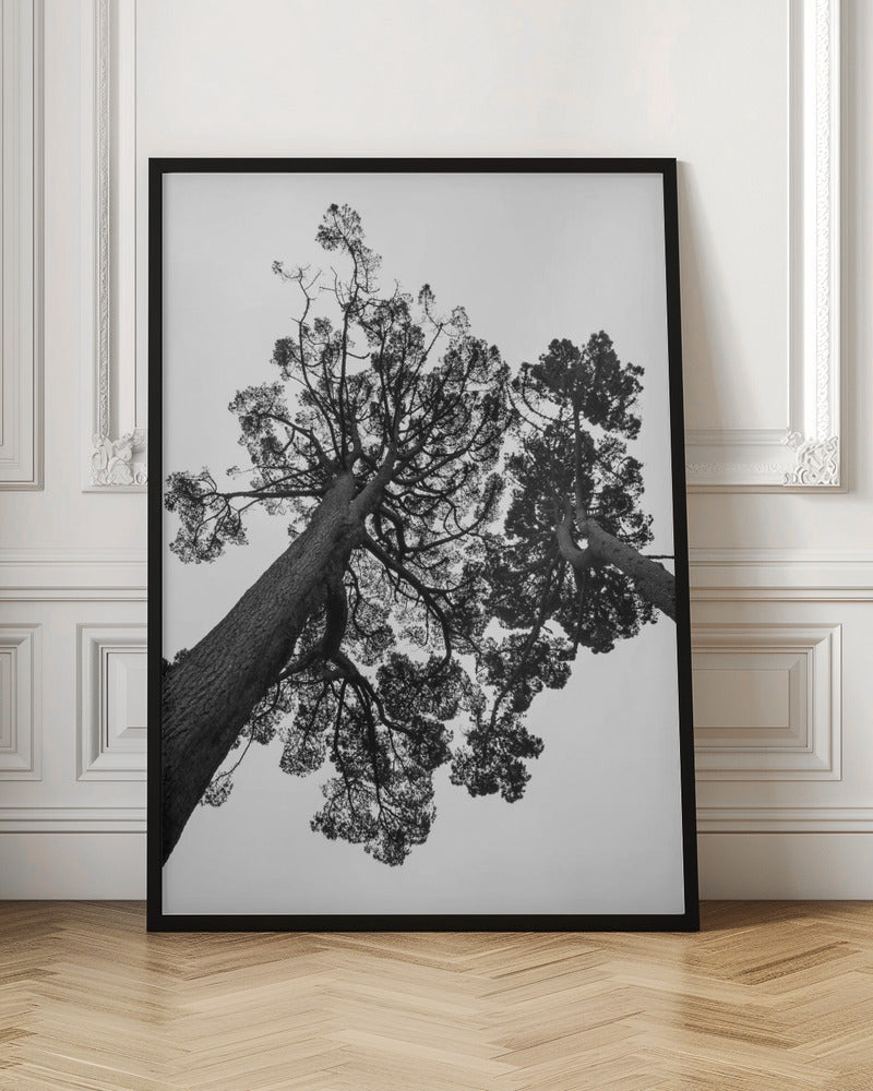 Japanese Garden 02 Poster