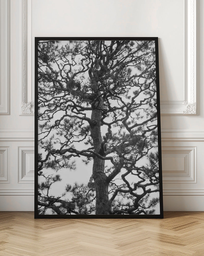 Japanese Garden 03 Poster