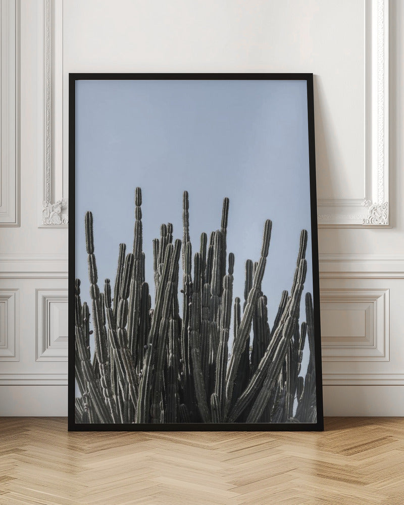 Kaktus Poster