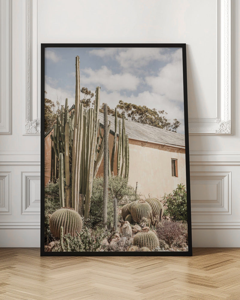 Karoo Garden 02 Poster