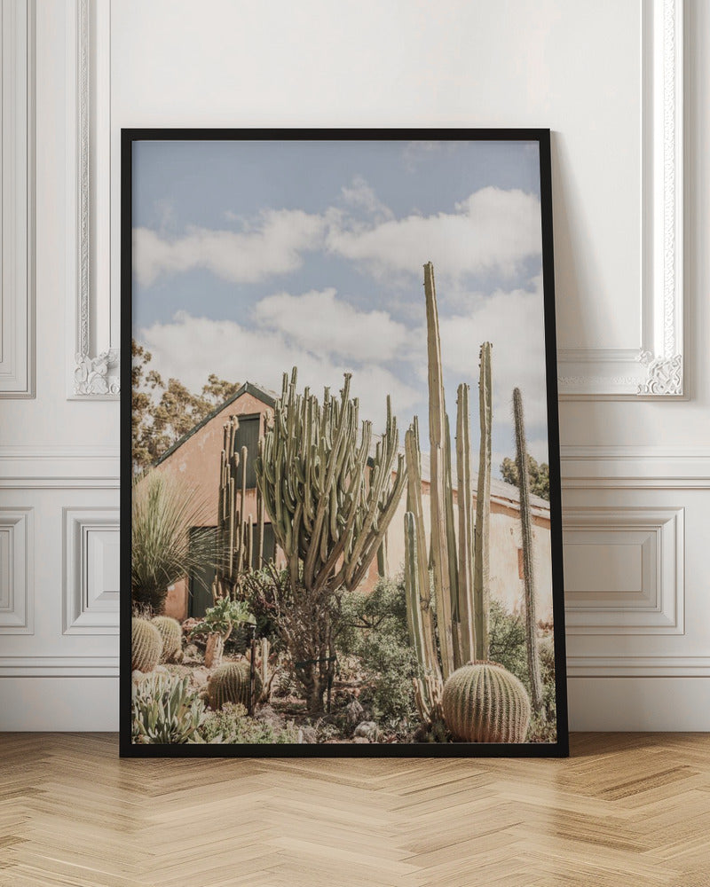 Karoo Garden Poster