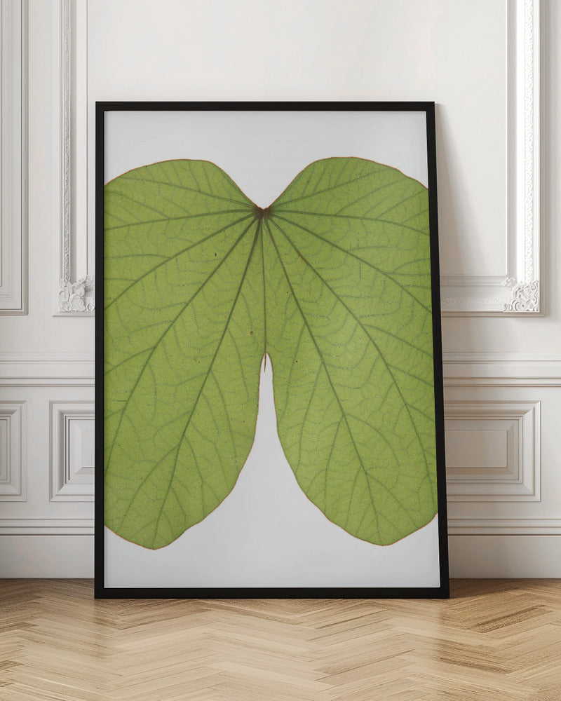 Leaf Butt Poster