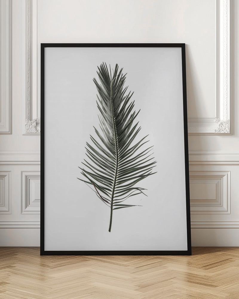 Leaf Study 03 Poster