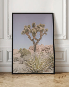 Mojave Desert Poster