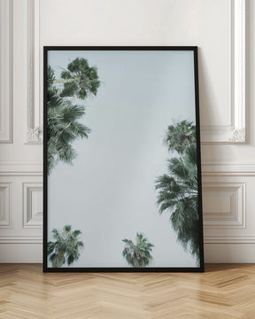 Palm Trees and Blue Skies Poster