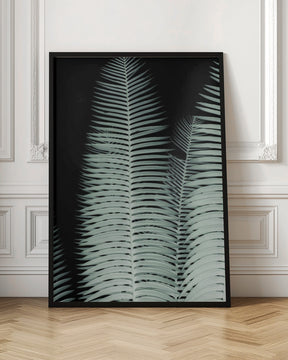 Palm Leaf Poster