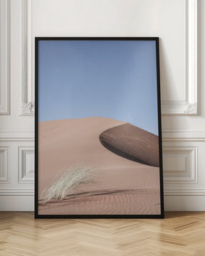 Namib Two Poster