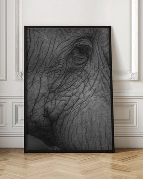 Olifant 01 Poster