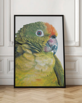 Parrot Poster