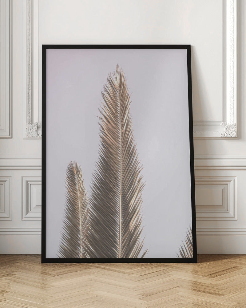 Phoenix Palm Poster