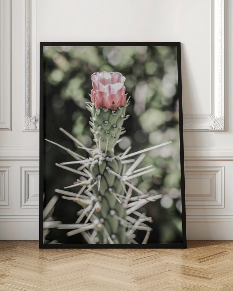 Pink Desert Bloom Poster