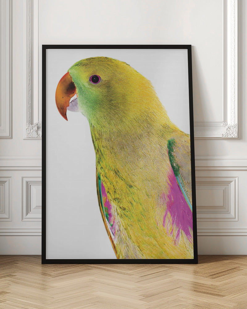 Polly Poster