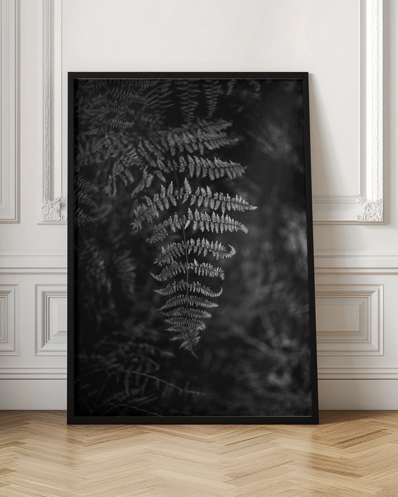 Silver Fern Poster