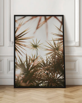 Starlight Palm Tree Poster