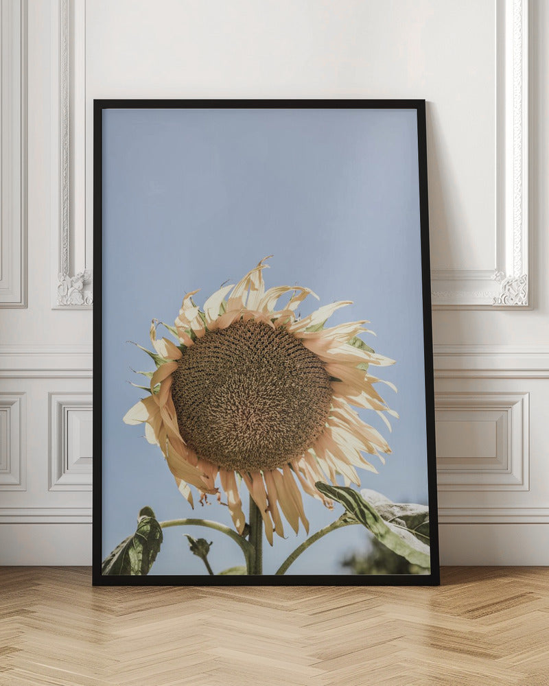 Sunny Bloom Poster