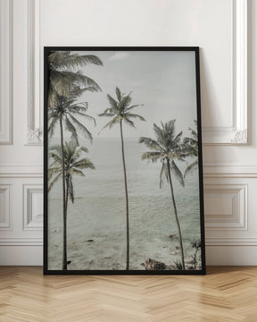 Tropical Dreams Poster