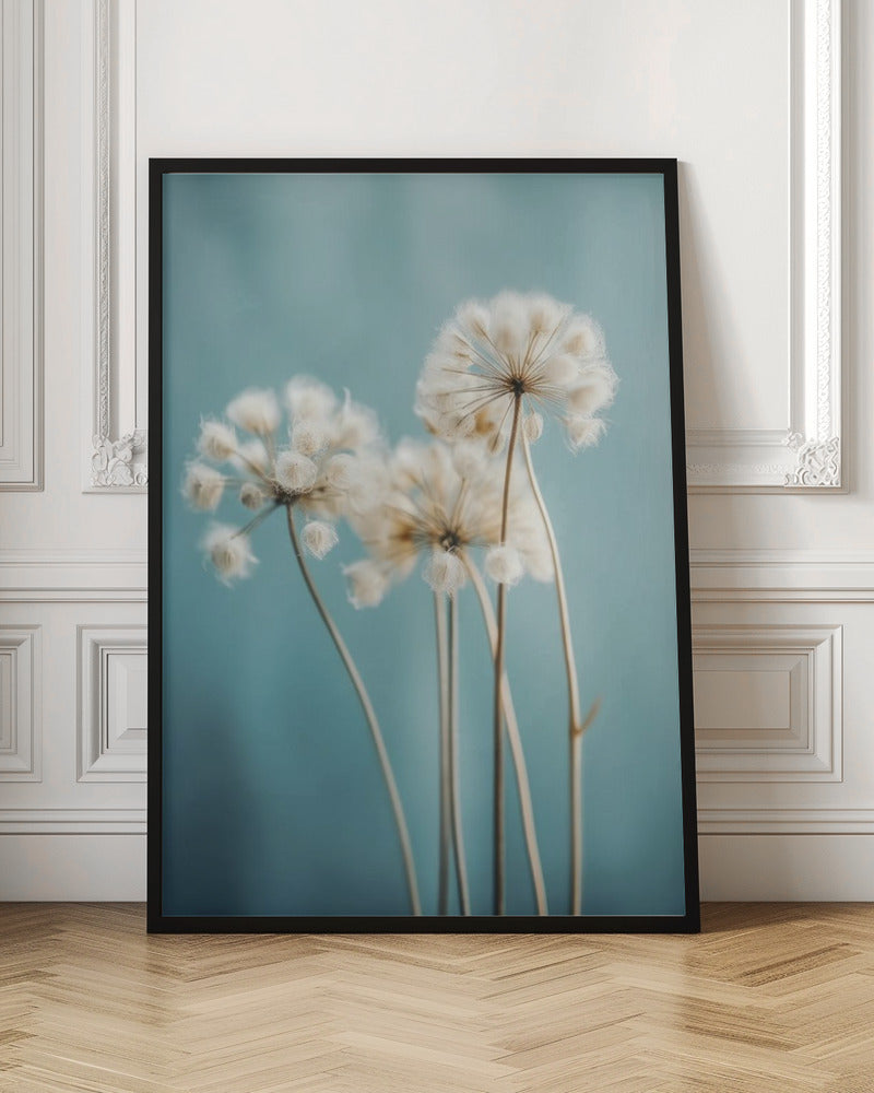 Fluffy Flowers Poster