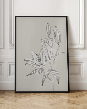 Line art lillies in beige Poster