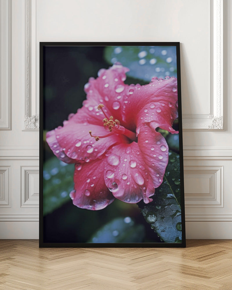 Pink Hibiscus Poster