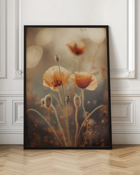 Poppy In Morning Sun Poster