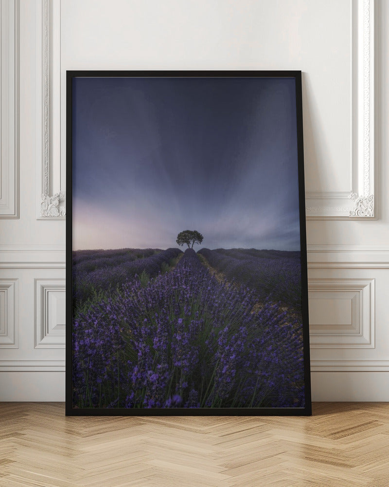 The tree and the lavender Poster