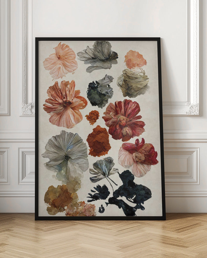 Dry Flower Collection Poster