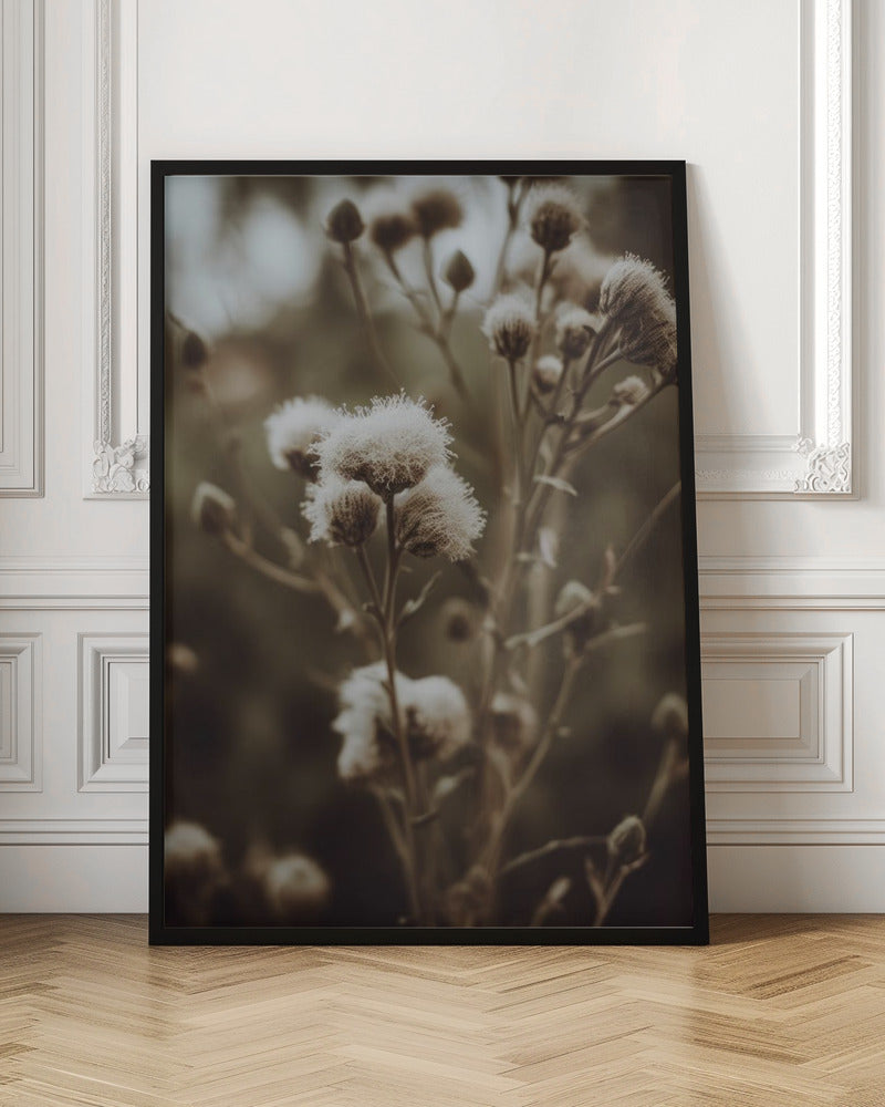 Low Light Nature No 5 Poster