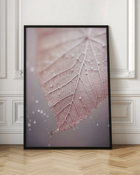 Rosy Leaf Poster