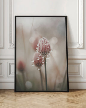 Pastel Nature Macro No 5 Poster