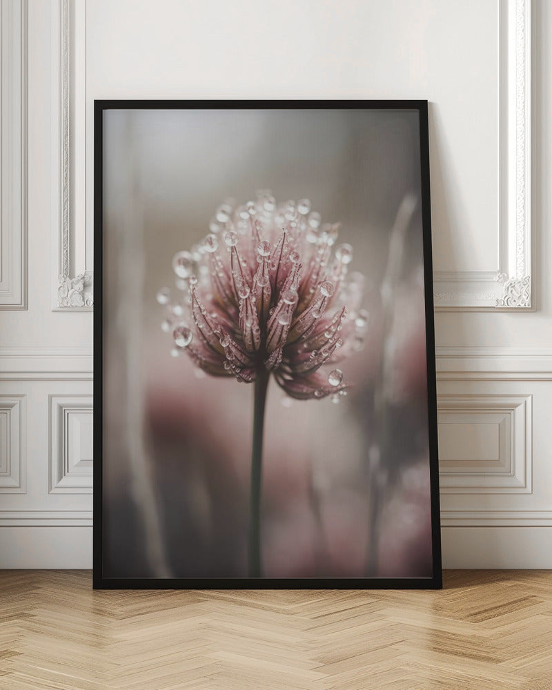 Pastel Nature Macro No 4 Poster