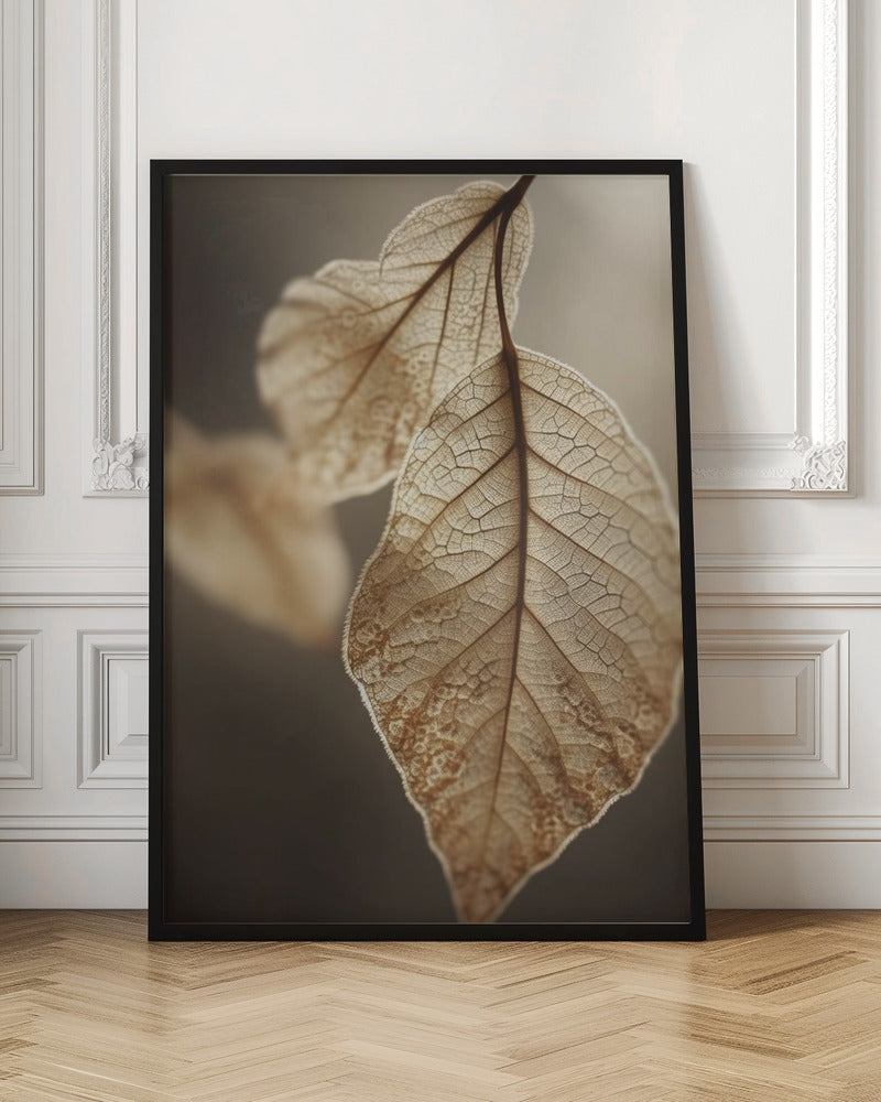 Leaf Macro Poster