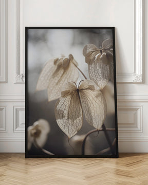 Butterfly Flower Poster