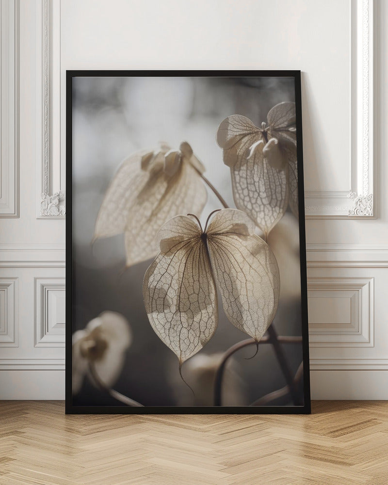 Butterfly Flower Poster