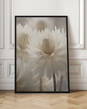 Pastel Nature Macro No6 Poster