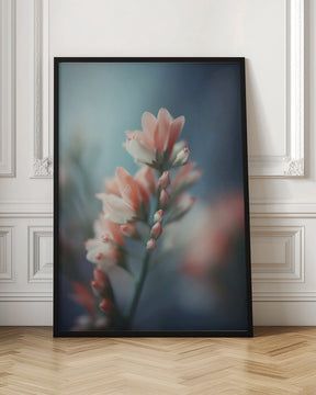 Pastel Pink Beauty Poster