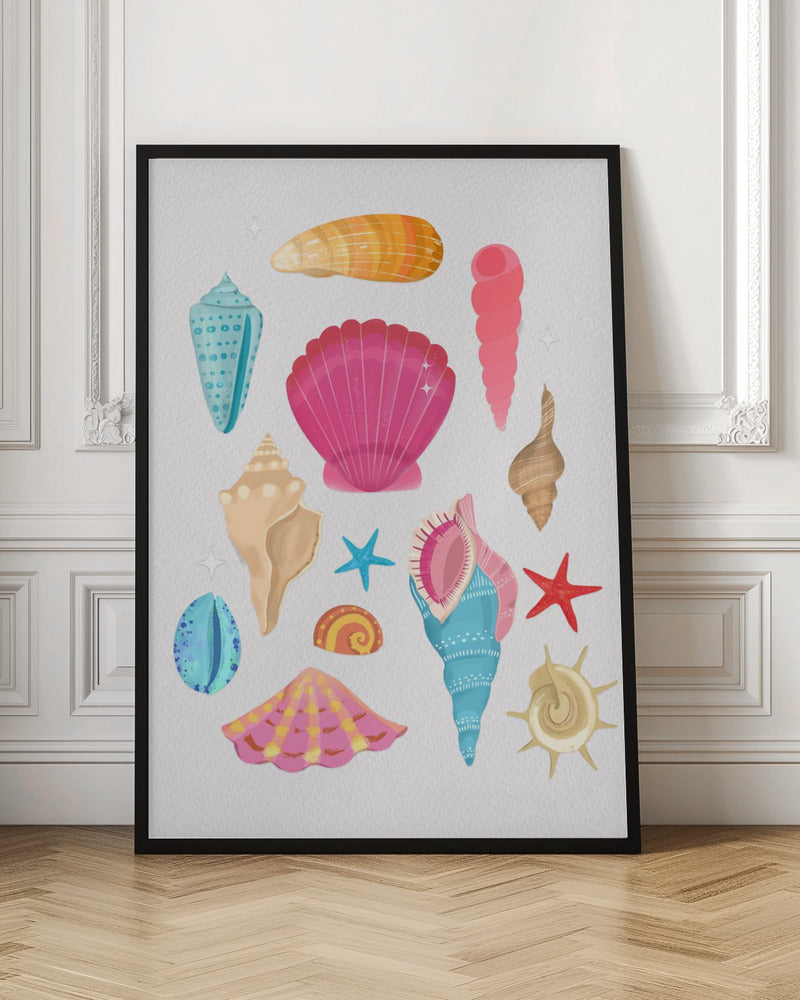 Seashells Poster