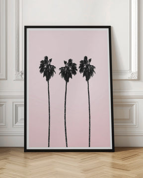 Pinky Palms Poster