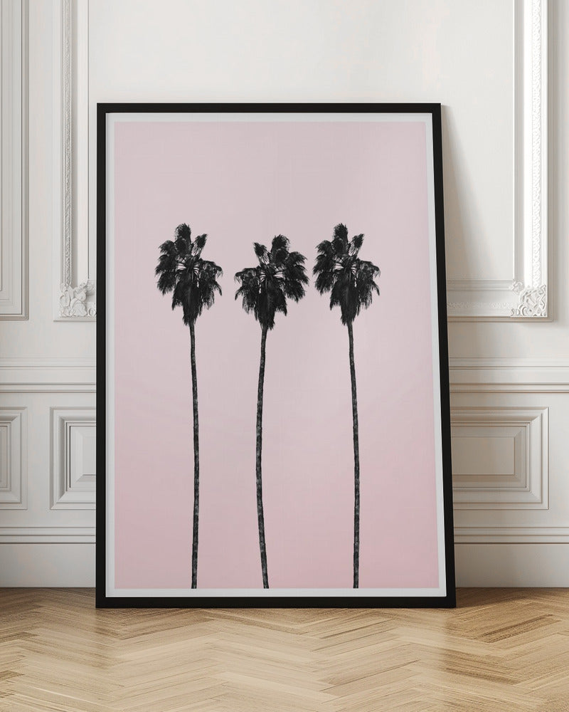 Pinky Palms Poster