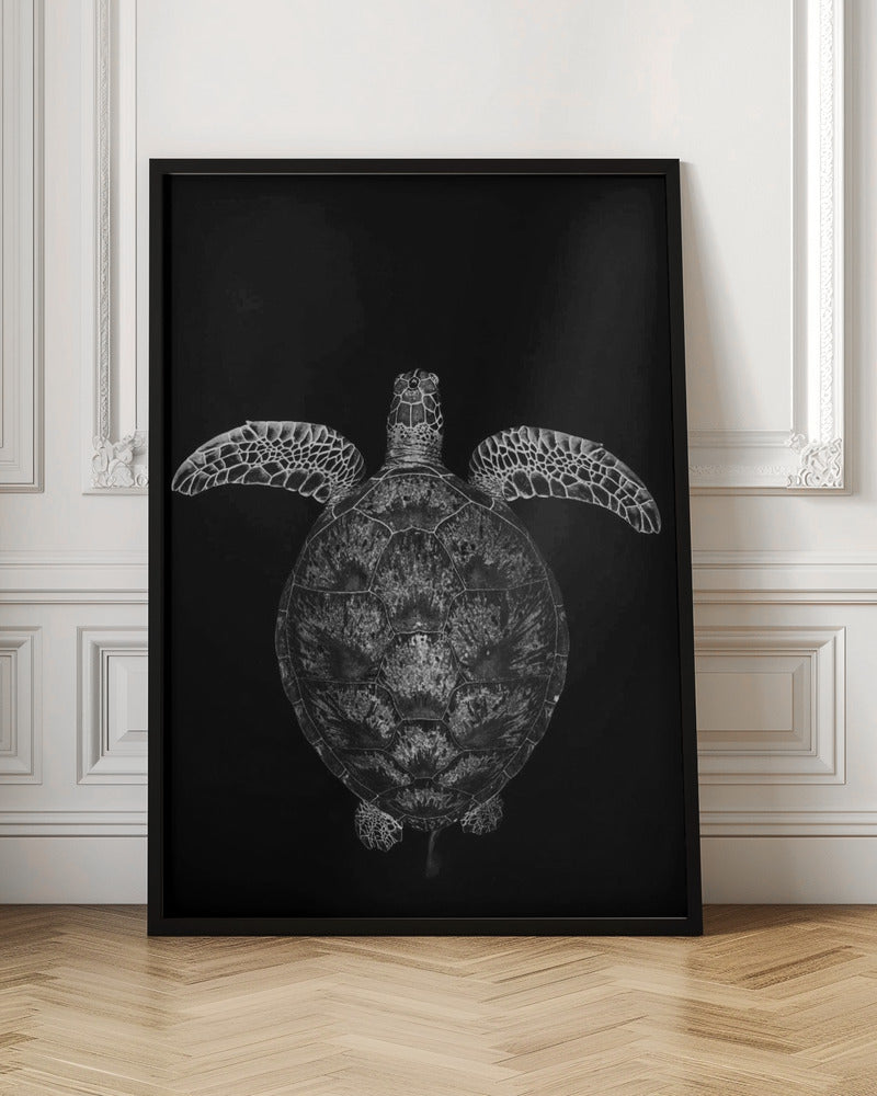 Green turtle on black and white Poster