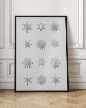 Twelve geometric snowflakes in gray Poster