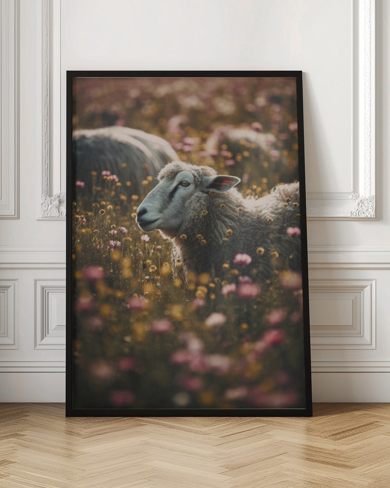 Sheeps In Flower Field Poster