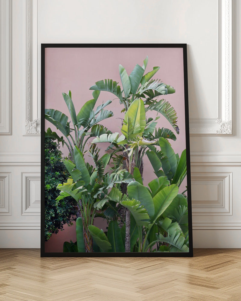 Ibiza Palmtrees Poster