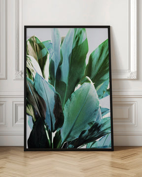 Green Leaves I Poster