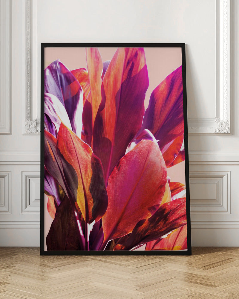 Fuchsia Leaves I Poster