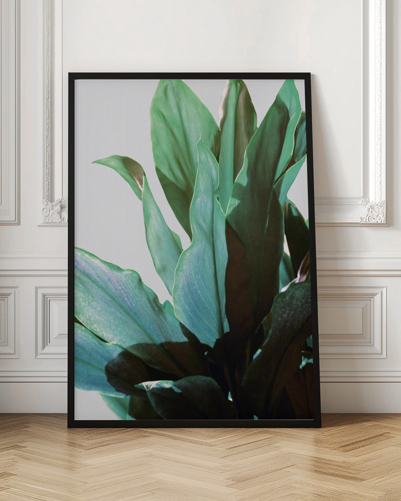 Green Leaves Poster