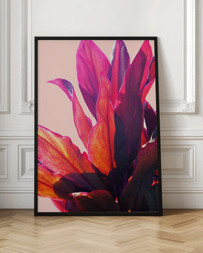 Fuchsia Leaves II Poster